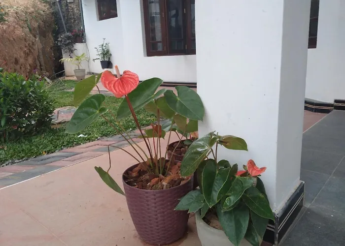 Holly House Homestay