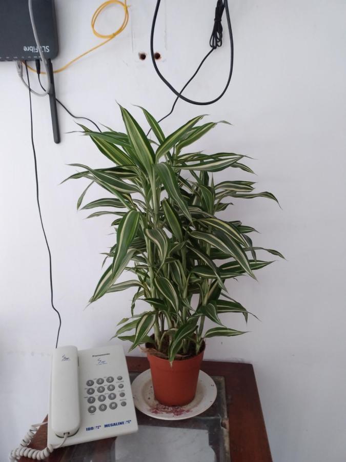 Privatunterkunft Holly House *